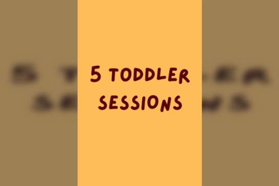 5 Toddler Sessions
