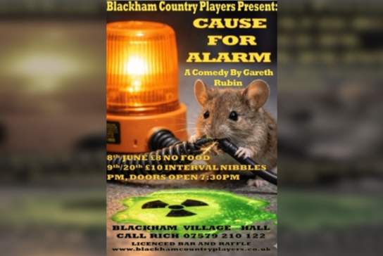 Cause For Alarm by Gareth Rubin
