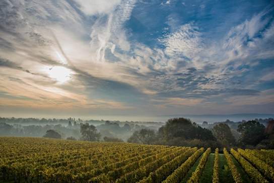 Ambriel Sparkling