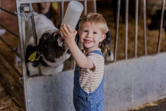 Longdown Activity Farm
