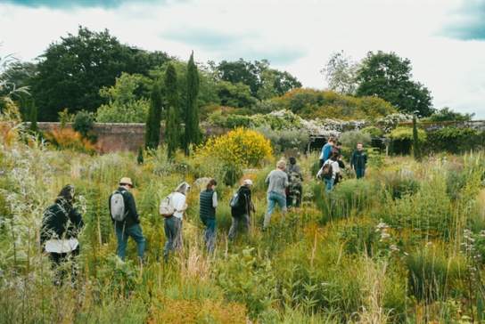 Designing a Wilder Garden Workshop