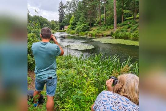 Photography for Beginners