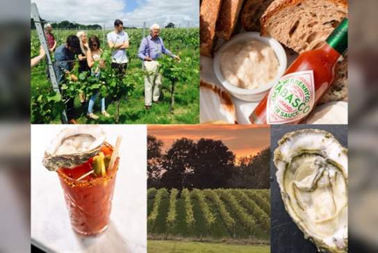 A Day in The Vines - Riddle and Finns & Court Garden Vineyard