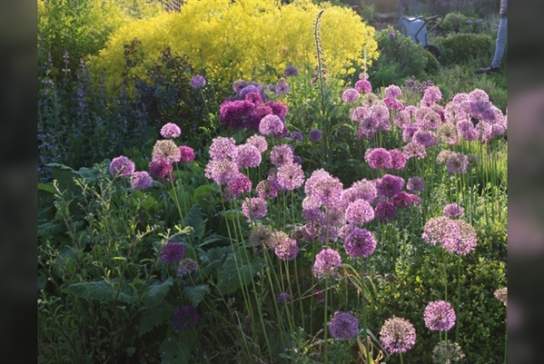 Gardening a Wilder Garden Workshop