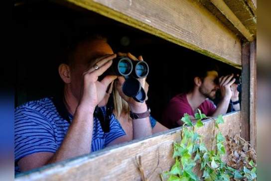 Optics Day Oct