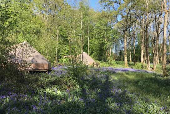 Wild Boar Wood Campsite