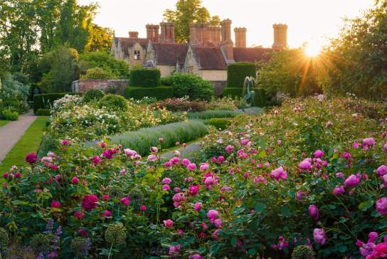 Borde Hill Garden