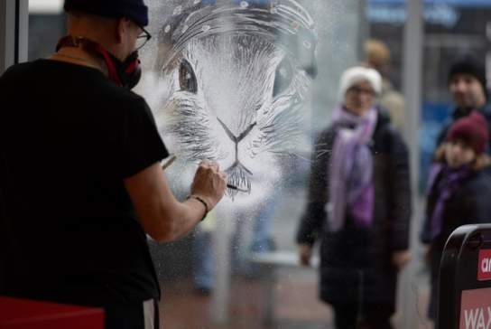 Southampton's Snow Windows Trail