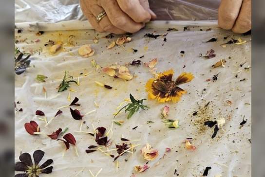 Botanical Silk Scarf Workshop: The Art of Natural Dyes