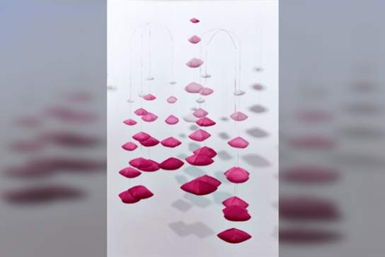 Sara Cook: Cherry Blossom Project Workshop