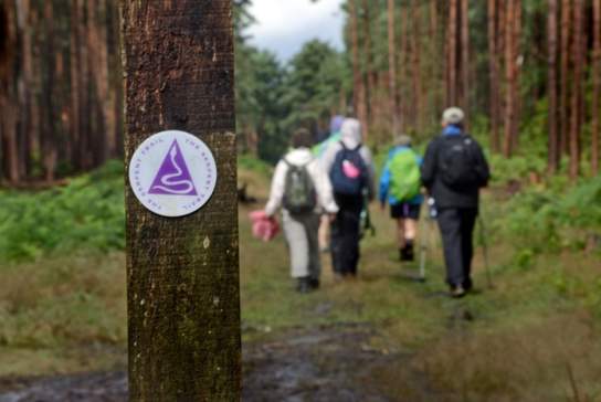 Guided Serpent Trail Walks, Summer 2025