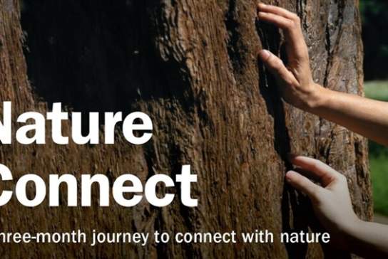 Nature Connect