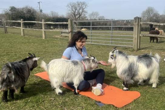Goat Yoga Experience