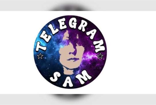 T.Rex Tribute Show