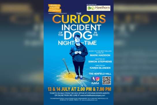 The Curious Incident of the Dog in the Night-Time