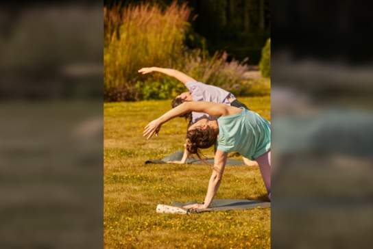 In the Turning Light - A Morning Yoga Practice with Emily Phillips