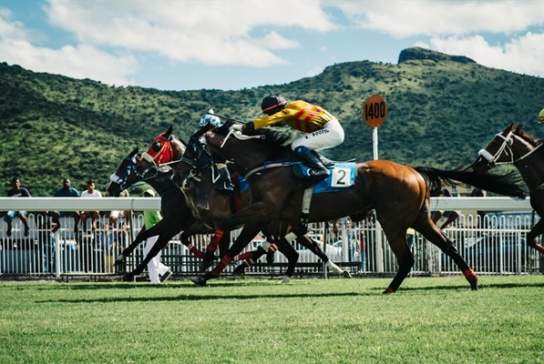 Plumpton Race Meeting
