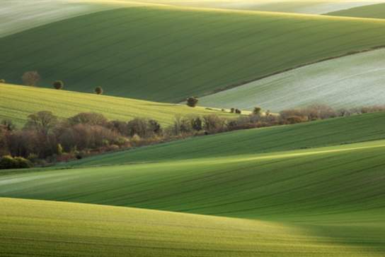 Pedals, Pencils & Pixels: picturing the South Downs with Jo Burt and Finn Hopson