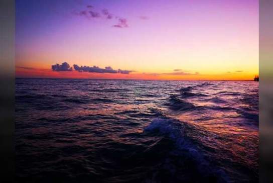 Brighton Sunset cruise with the Sussex Dolphin Project