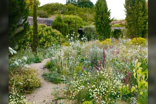 Gardening a Wilder Garden Workshop