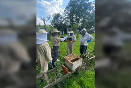 Beekeeping Taster Day