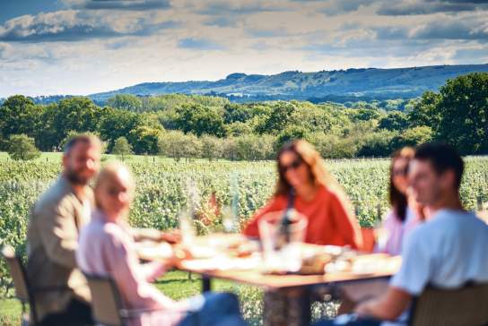 The Rows & Vine Restaurant at Ridgeview Wine Estate