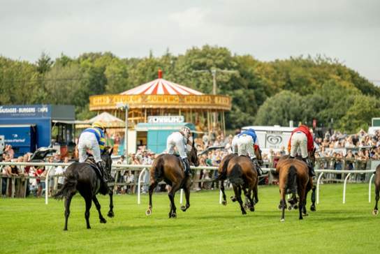 Fontwell Family Festival