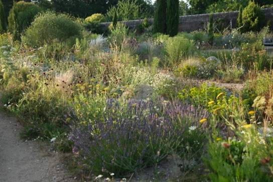 A Garden of Incredible Insects with Erica McAlister