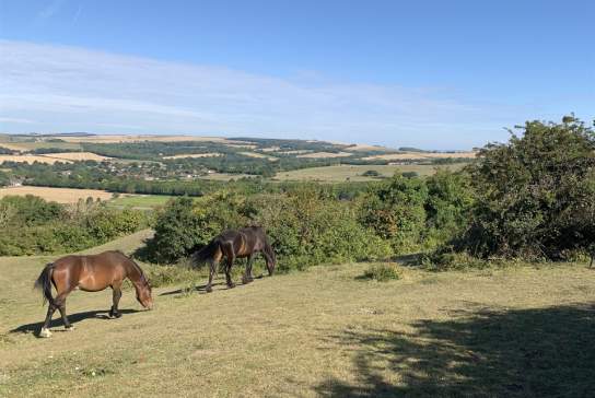 Cissbury Ring