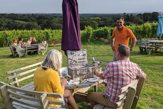 Beacon Down Vineyard