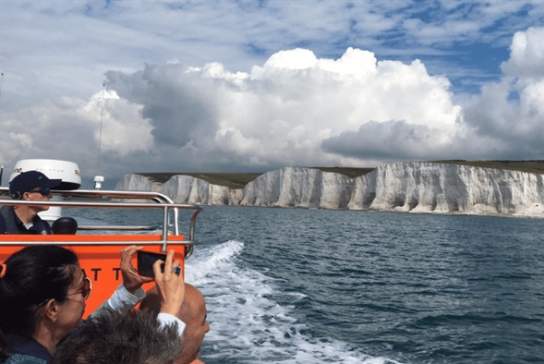 Sussex Dolphin Project - Newhaven