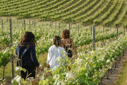Rathfinny Wine Estate