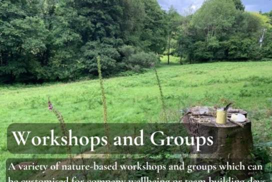 Wild Heart Woodland Connection