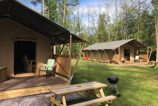 Worth Forest Glamping
