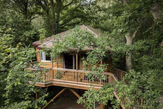 Downash Wood Treehouses