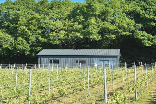 Winklestone Vineyard