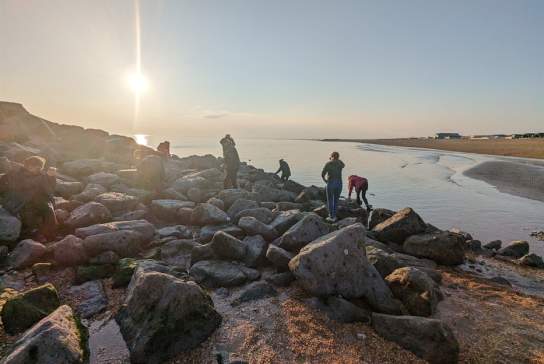 Marine Life Walks