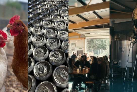 Brewing Brothers Brewery
