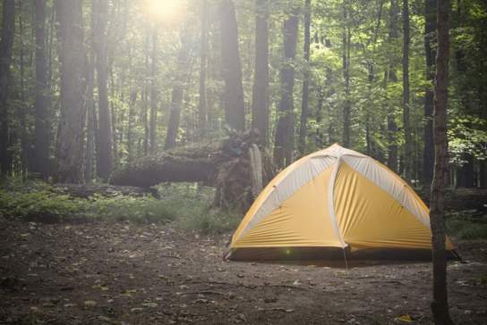 Heaven Farm Camping