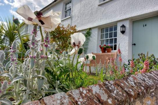 Steyning Cottages - Rosebud Cottage