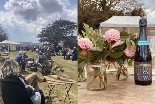 Mountfield Winery