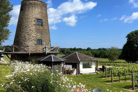 Nutbourne Vineyard