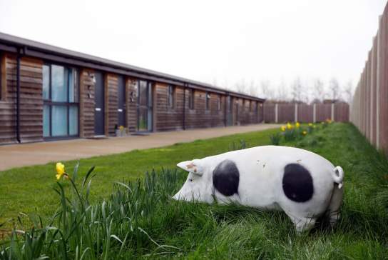 The Piglets Bookable Barnlets