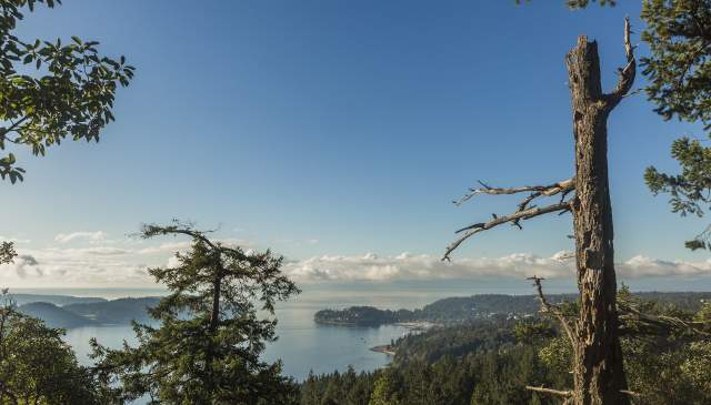 Explore the Trails: Soames Hill