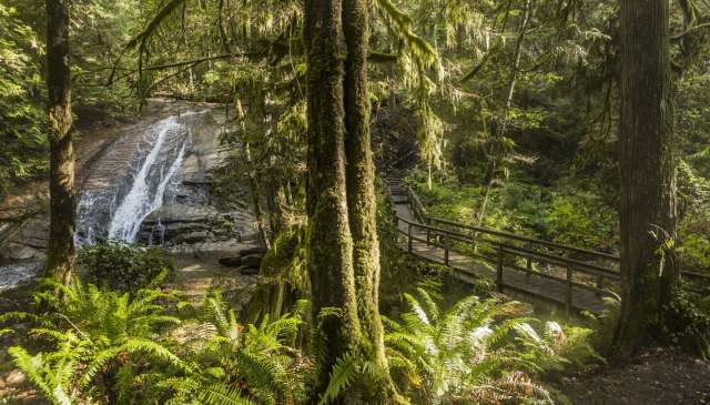 Waterfall Hikes on the Sunshine Coast