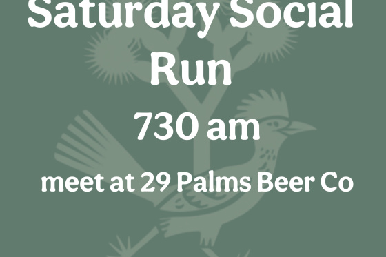 Twentynine Palms Run Club Saturday Social Run
