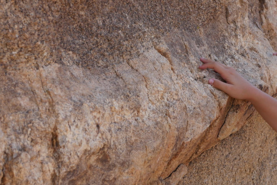 Rock'n'Roll: The Geology & Faultlines of Joshua Tree National Park (UCRX .5 Units)