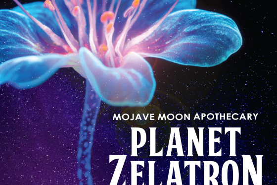 Planet Zelatron III - An Immersive Expereince