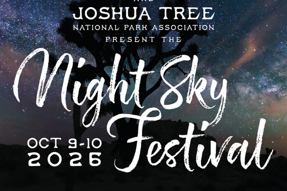 Night Sky Festival