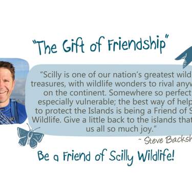 Isles of Scilly Wildlife Trust
